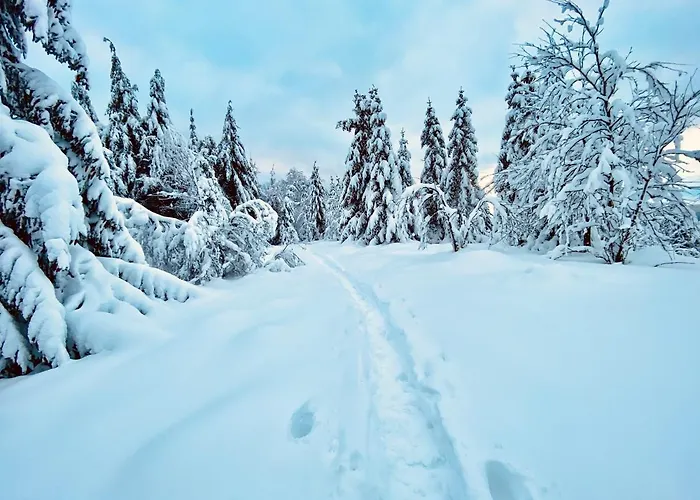 Traumzeit Neuhutten (Rhineland-Palatinate)